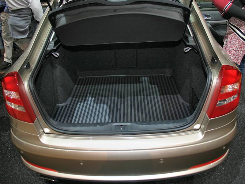 Skoda_oct_zen10